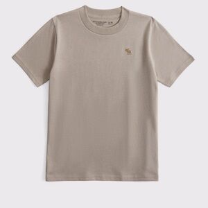 TWO Boys Abercrombie and Fitch (tan and blue) size 11-12